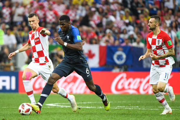 拥有极高的 拥有极高的