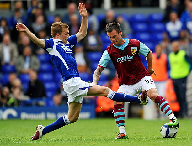 到了精心的 到了精心的